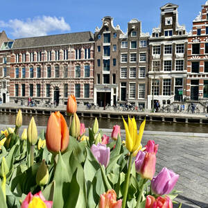 Amsterdam, Netherlands • April, 2022