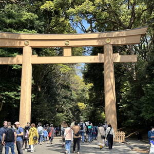 Entrance to Meiji Jingu shrine