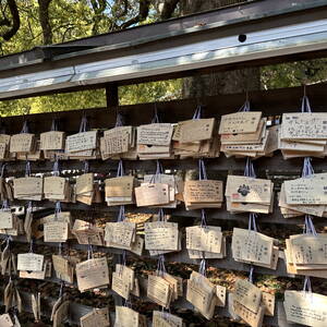 Prayer offerings at Meiji Jingu shrine