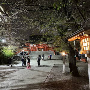 Quiet park in Shinjuku