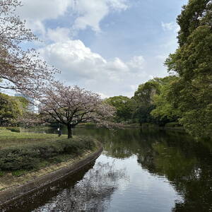 Gardens near the Imperial Palace