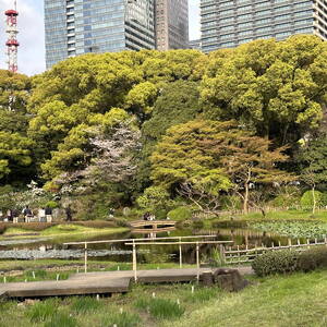 Pond on the grounds of the Imperial Palace