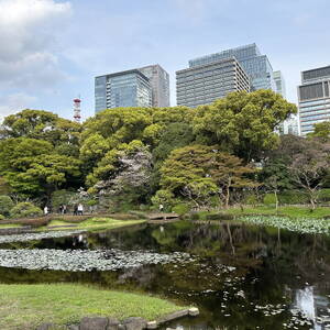 Pond on the grounds of the Imperial Palace