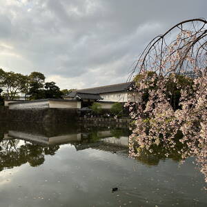 Pond on the grounds of the Imperial Palace