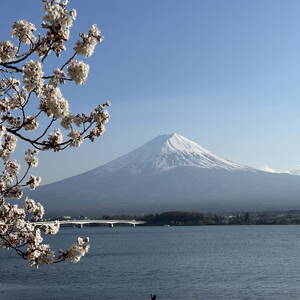 Mount Fuji