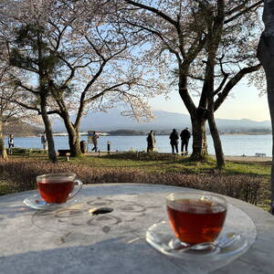 Having tea overlooking Mount Fuji