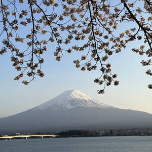 Mount Fuji