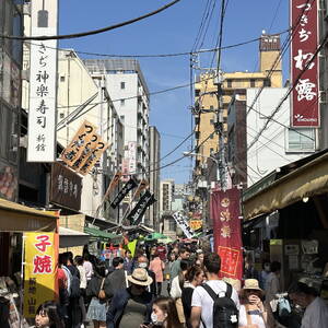 Tsukiji Fish Market, Tokyo