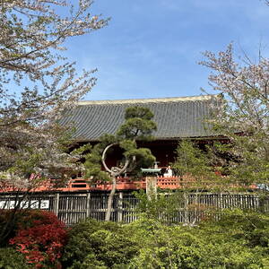 Ueno Park, Tokyo