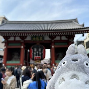 Totoro in Tokyo