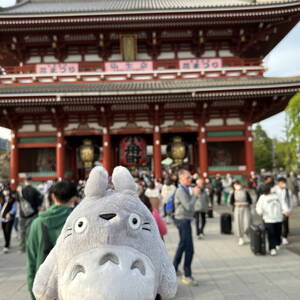 Totoro at Senso-Ji Temple