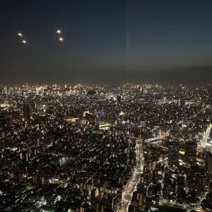 Twilight view from Tokyo Skytree