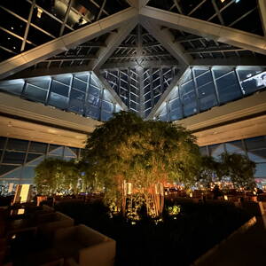 Cocktail lounge of the Park Hyatt Tokyo