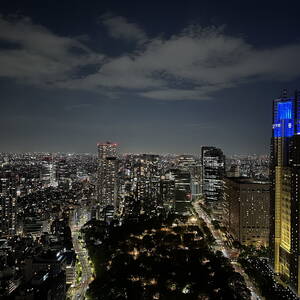 View from the Park Hyatt Tokyo