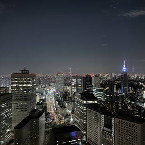 View from the Park Hyatt Tokyo