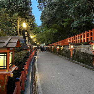 Lanterns in Yasaka Shrine, Kyoto