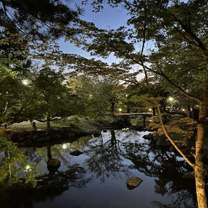 Pond in Yasaka Shrine, Kyoto