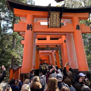 Starting torii in Fushimi Inari shrine, Kyoto