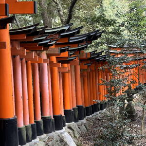 Path of torii gates, Fushimi Inari shrine, Kyoto