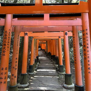 Path of torii gates, Fushimi Inari shrine, Kyoto