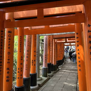 Torii gates in Fushimi Inari shrine, Kyoto