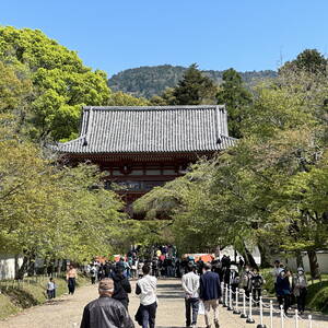 Sampo-in Temple, Kyoto