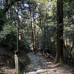 Walking around Daigo-Ji Temple, Kyoto