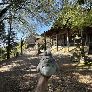 Totoro at Daigo-Ji Temple, Kyoto