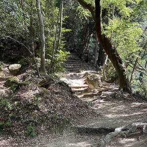 Hiking trail at Ginkaku-Ji Temple, Kyoto