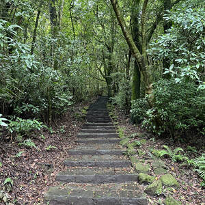 Stairs starting a hike in Yangmingshan National Park